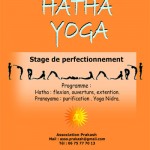 cours & stages yoga paris